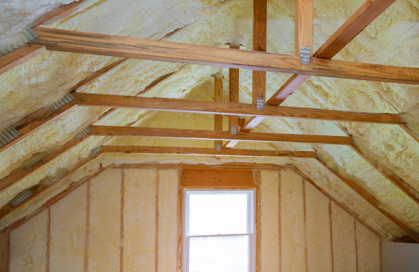 Best Insulation for New Construction  in Farmville, NC