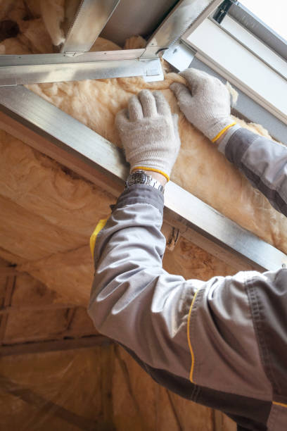 Best Wall Insulation Contractor  in Farmville, NC