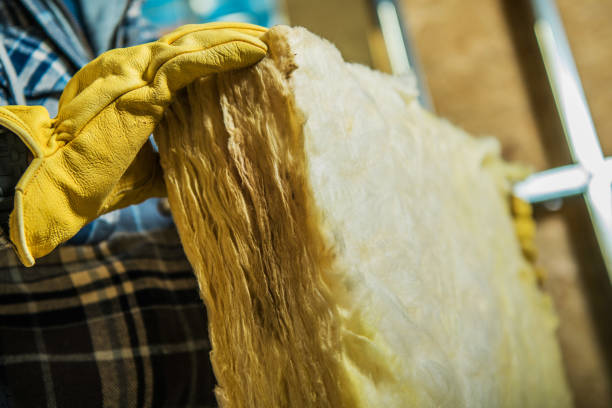 Best Insulation Repair Services  in Farmville, NC