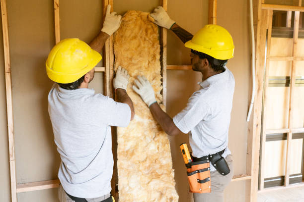 Best Attic Insulation Installation  in Farmville, NC