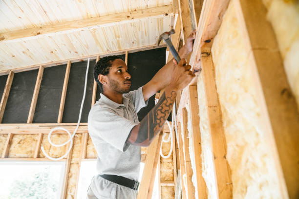 Best Home Insulation Services  in Farmville, NC