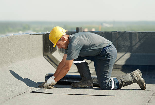 Best Spray Foam Insulation  in Farmville, NC
