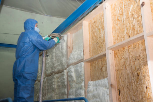 Best Best Insulation Companies  in Farmville, NC