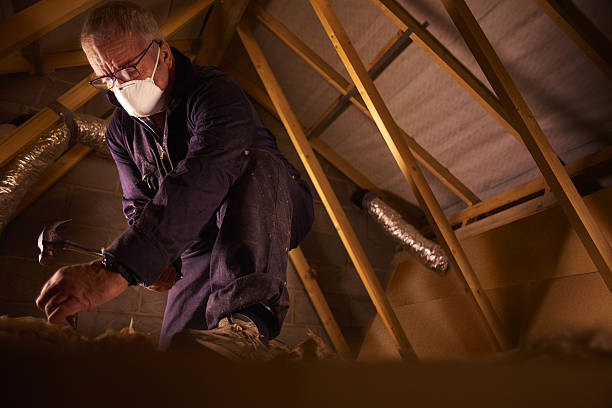 Best Energy-efficient Insulation  in Farmville, NC